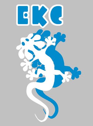 EKC- offre d’emploi