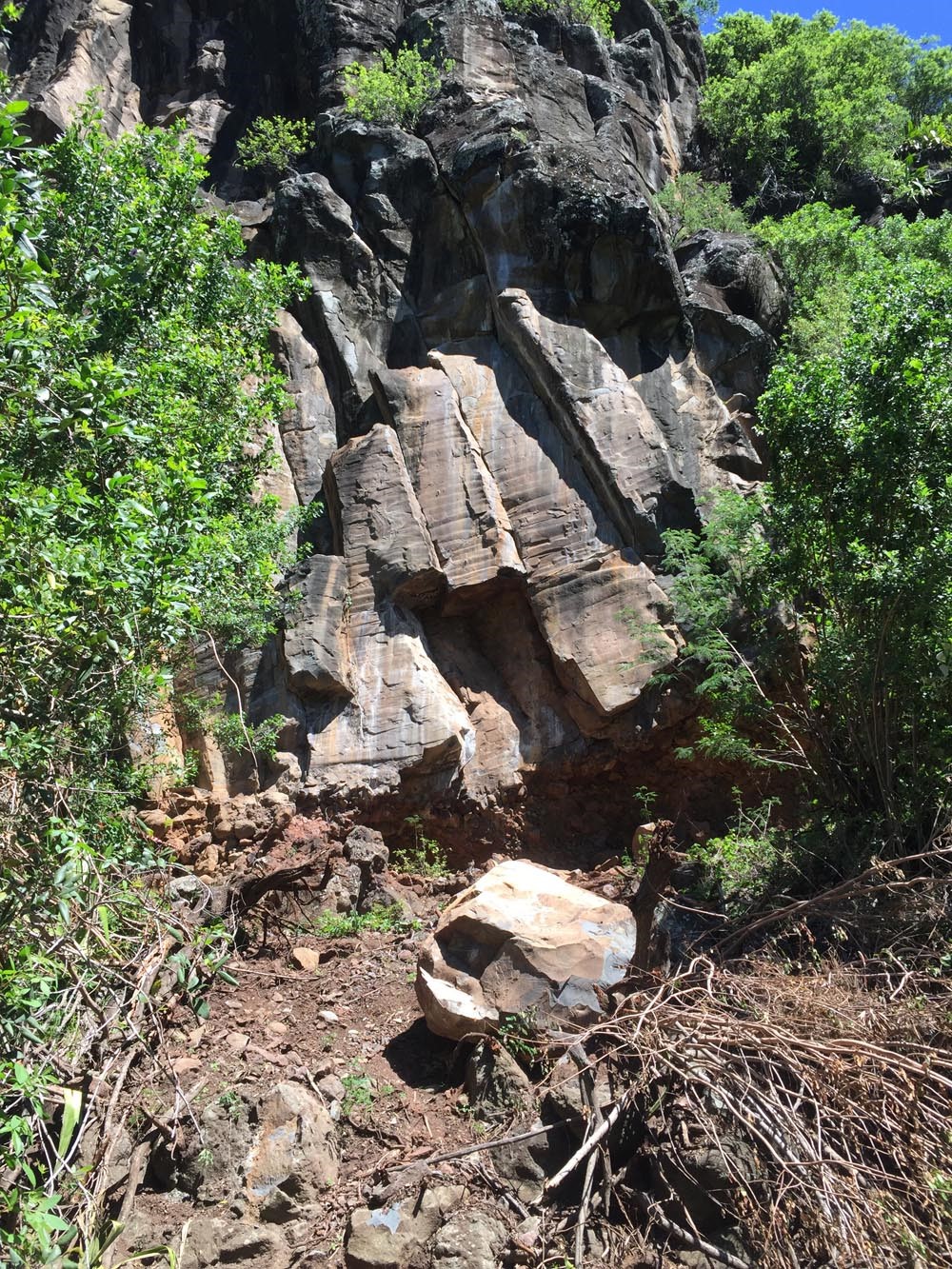 PATATE A DURAND – éboulis